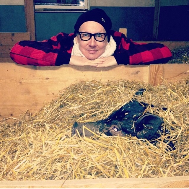 Foto