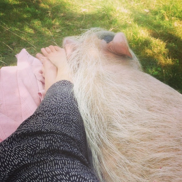Foto