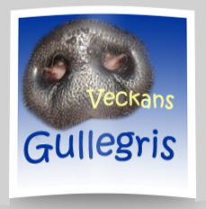 veckans_gullegris