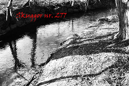 277_skuggor