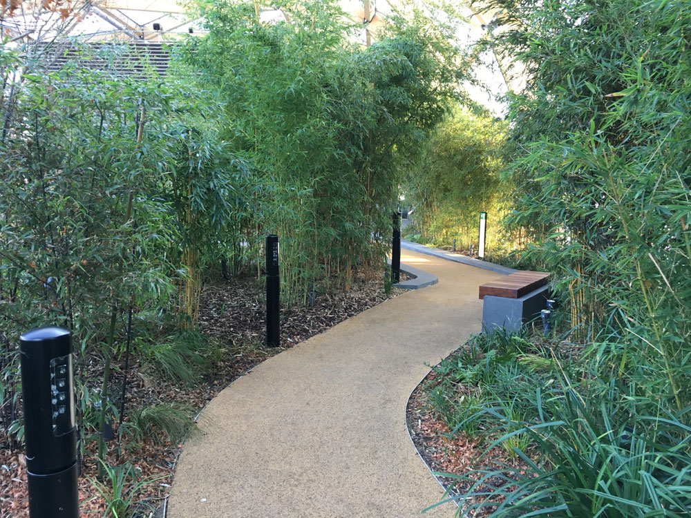 west-end-roof-garden