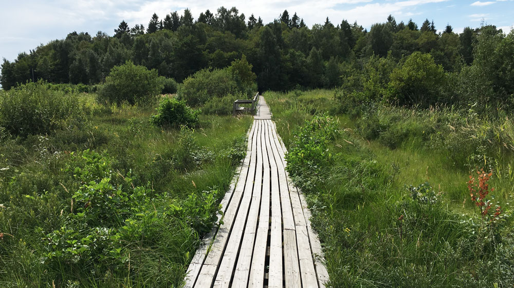 hammaro-sydspets-karlstad