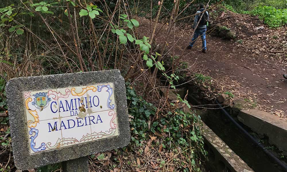 levadvandring madeira