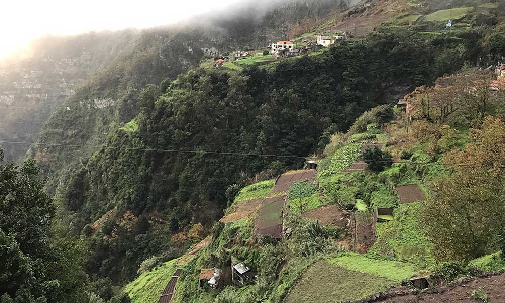 vyer madeira