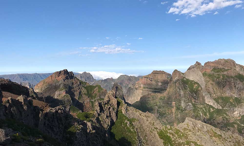 vyer madeira