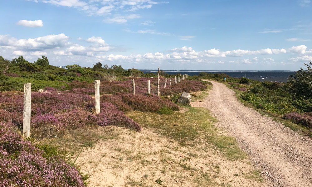 cykelväg halmstad prins bertils stig