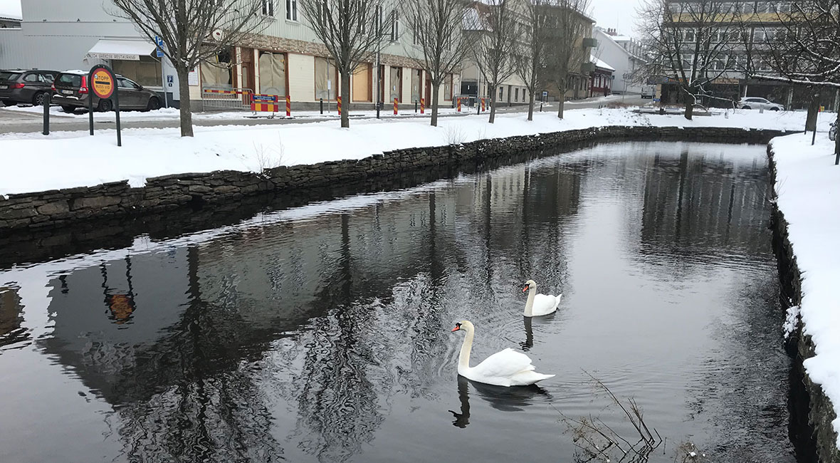 GoPro som kamera tillräckligt komplement?