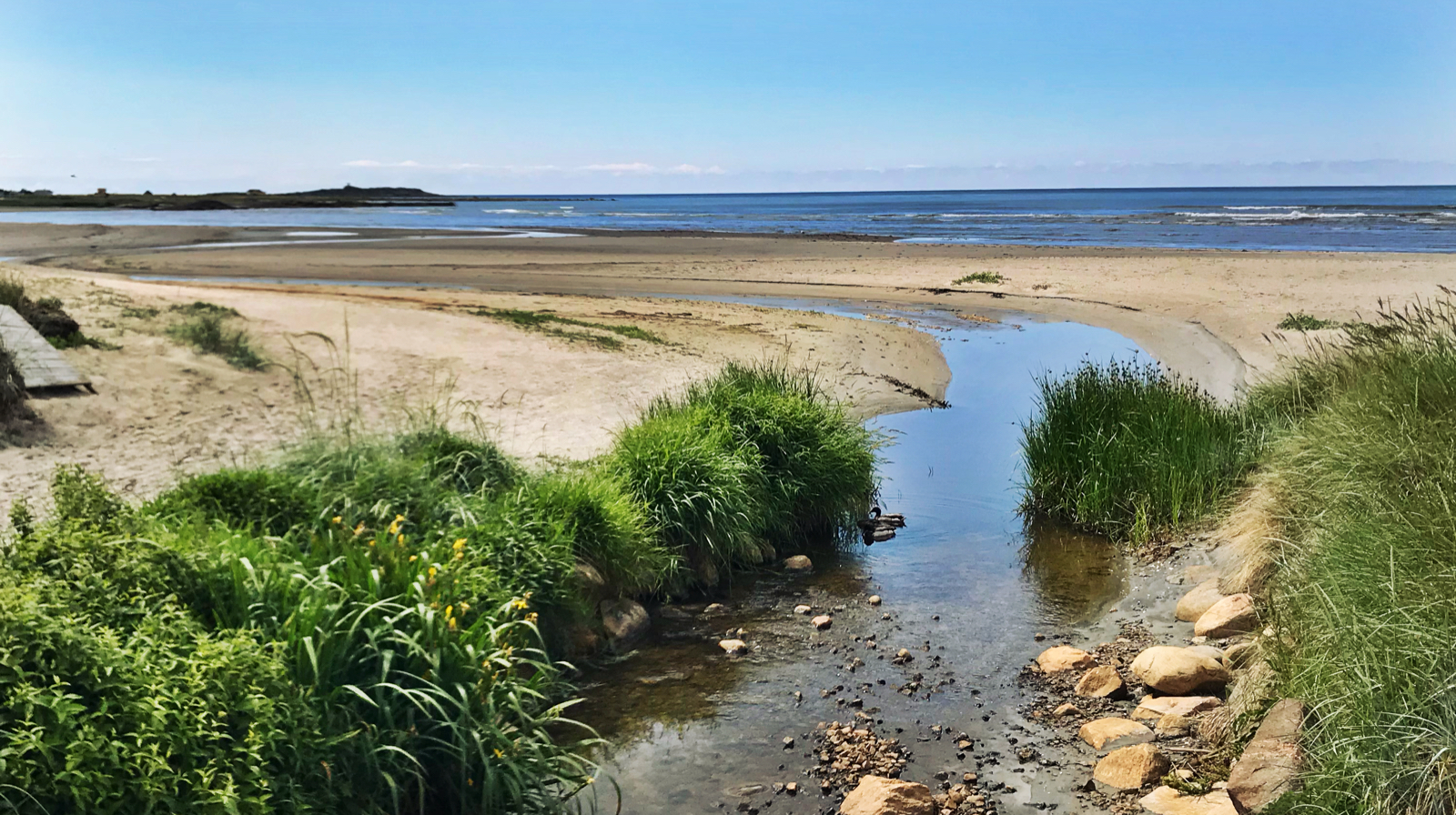 Apelviken varberg