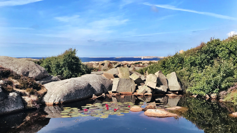 Bohus malmön