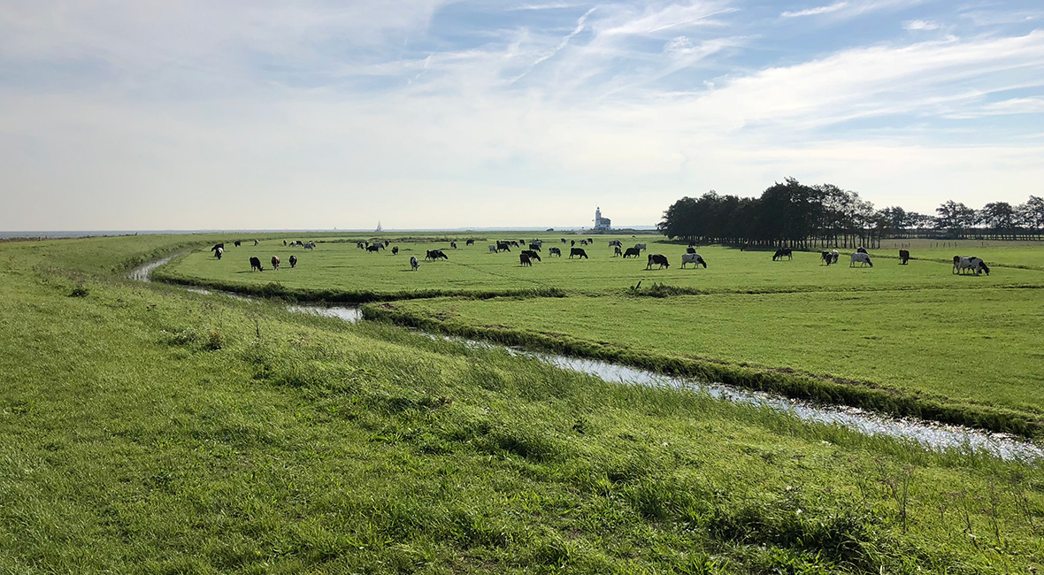 Marken Nederländerna