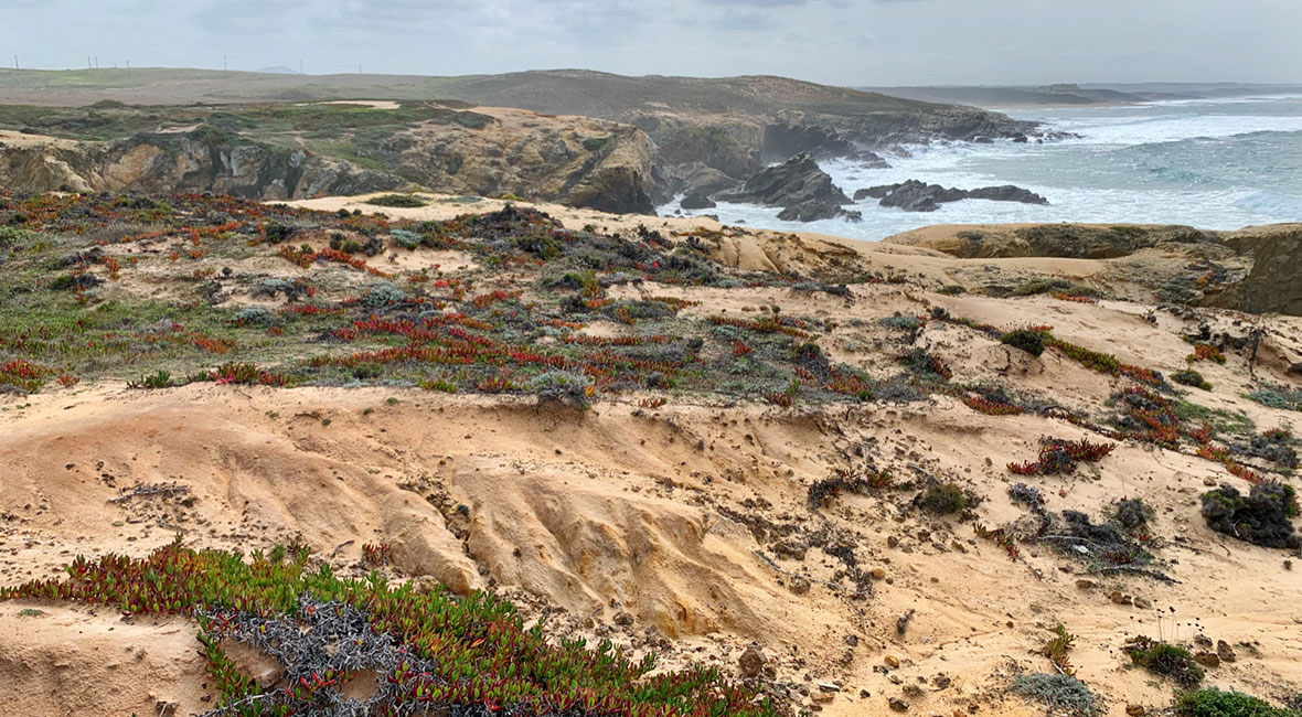 Porto Covo