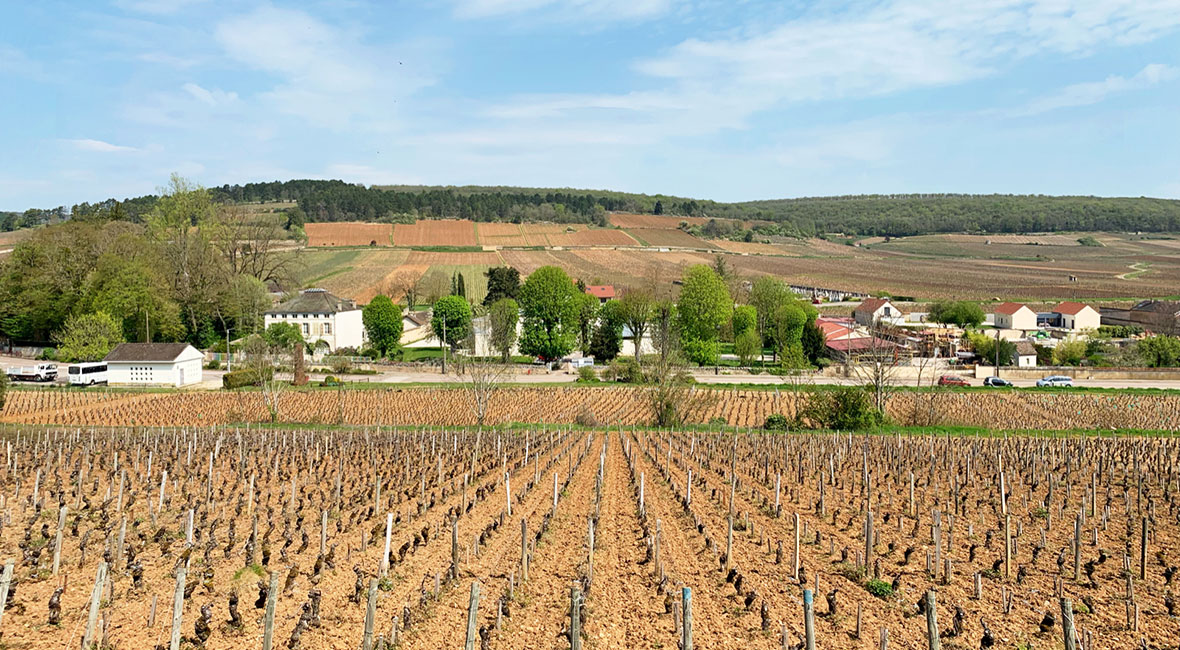 En långhelg i Savigny-les-Beaune