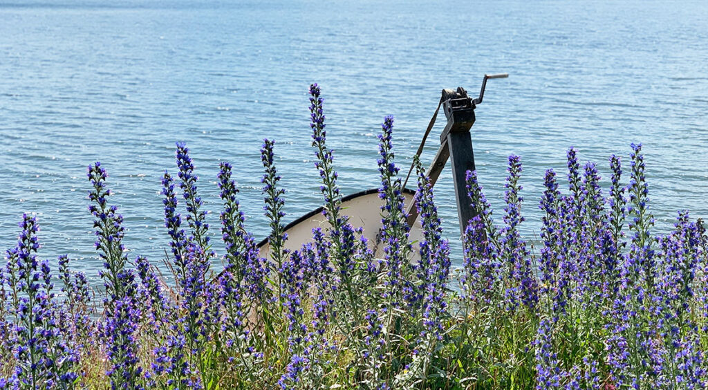 Bålsta vid mälaren