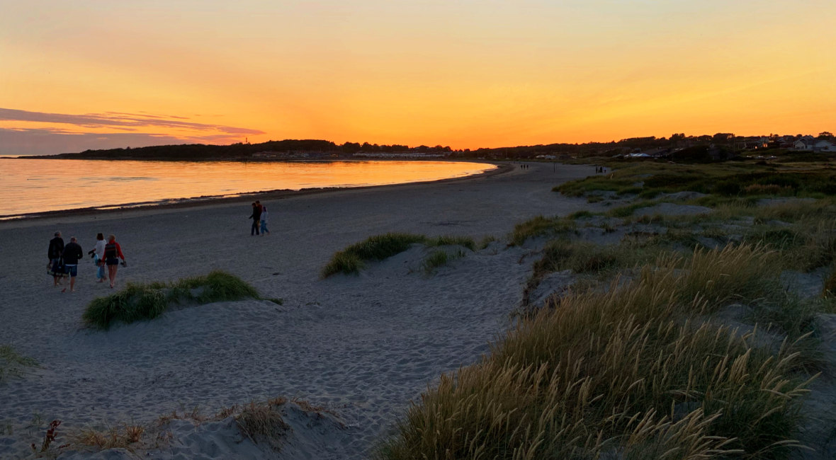 Drama i Apelviken