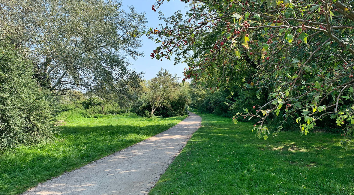 sanddornstrand. cykelväg