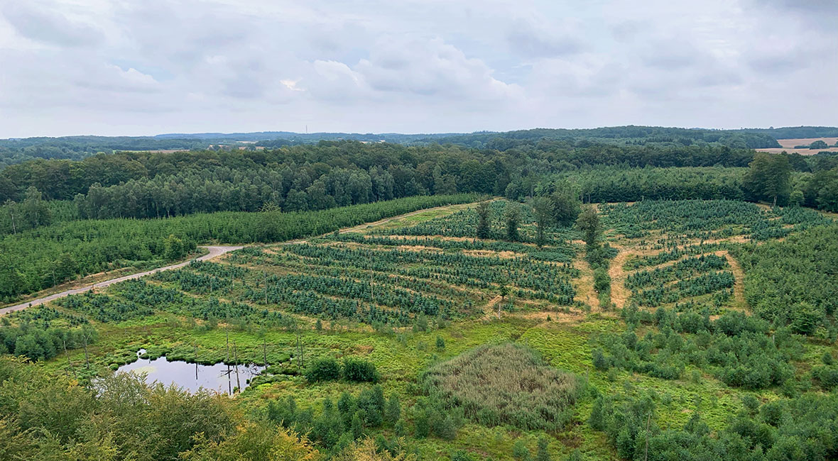 Utsikt Skovtårnet