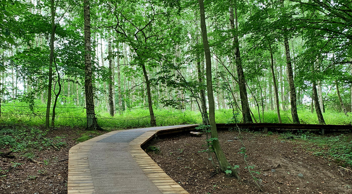 Gångar i skogen Skovtårnet