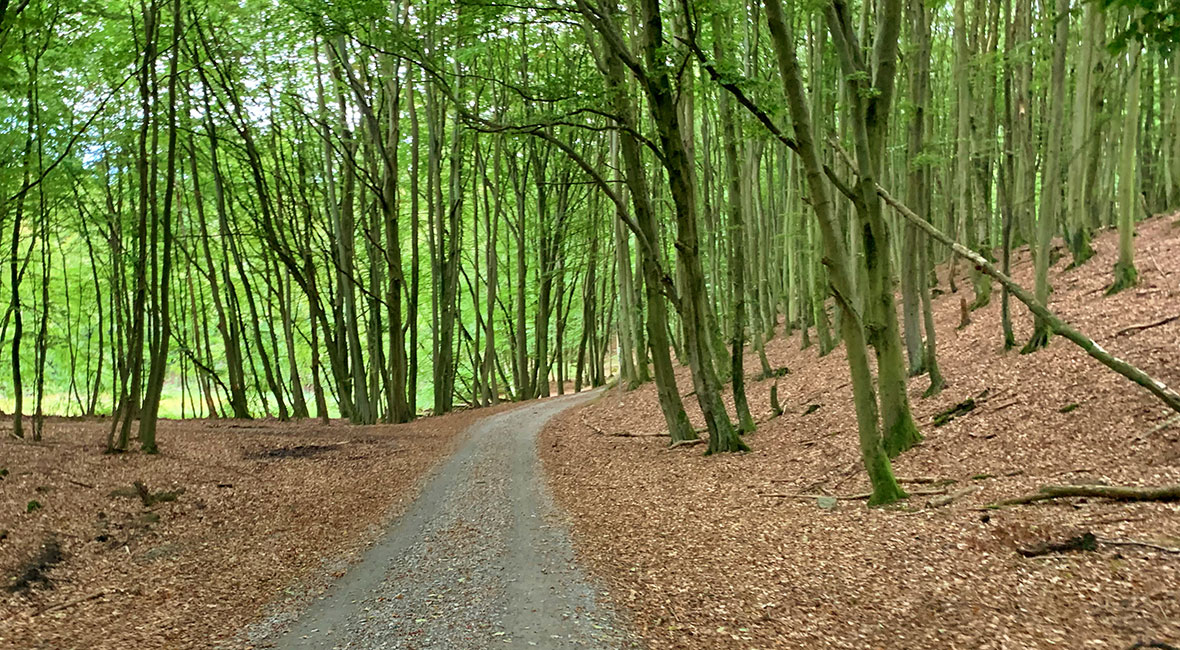 cykelväg östra tyskland