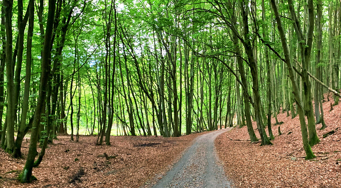 cykla på norra tyskland