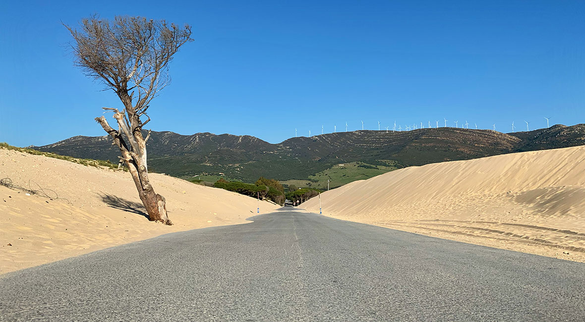 Duna De Valdevaqueros