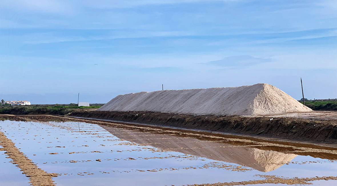 salt Tavira