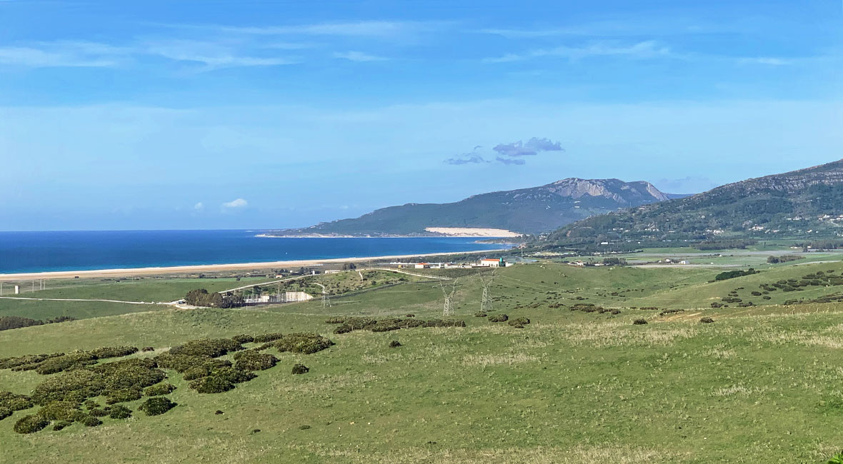 Tarifa