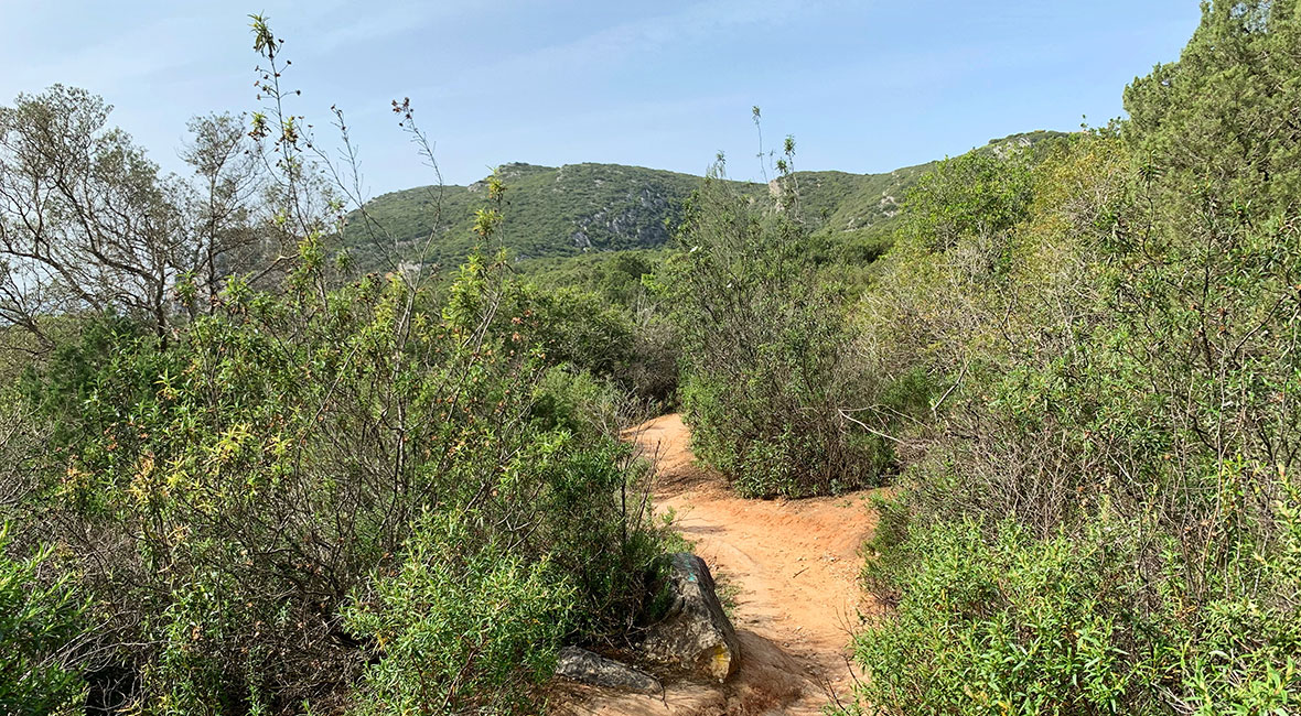 sesimbra vandring