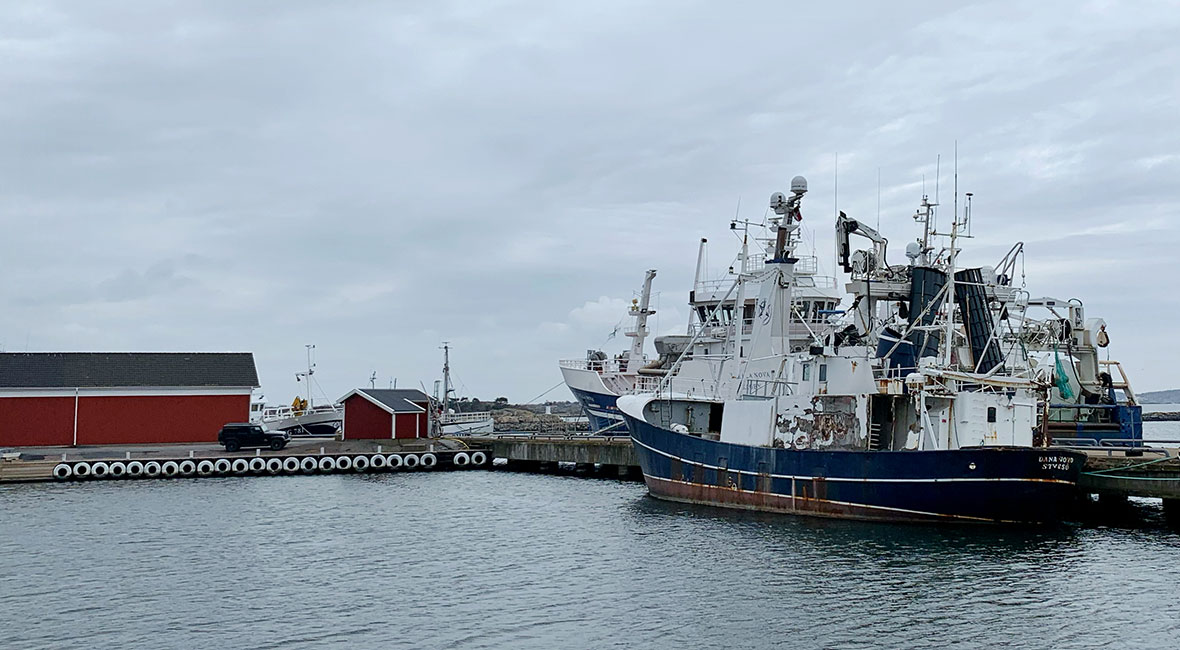 hamn på fotö