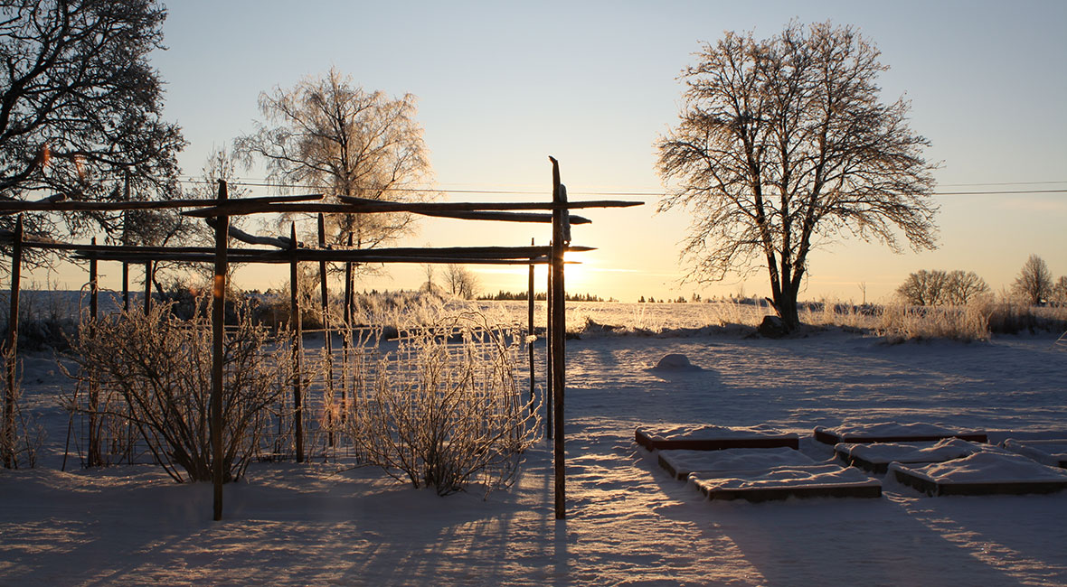 vinter i sverige