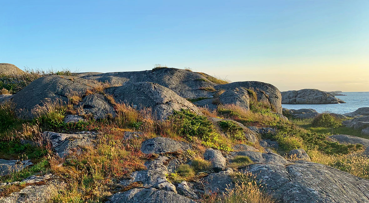 Fotö i kvällsljus