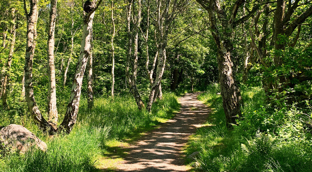 nationalpark Hönö