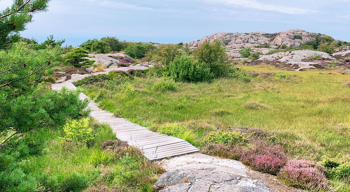 Varför lever vi ett enklare liv?