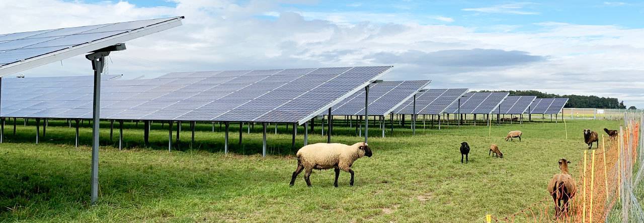 Off grid lockar allt mer