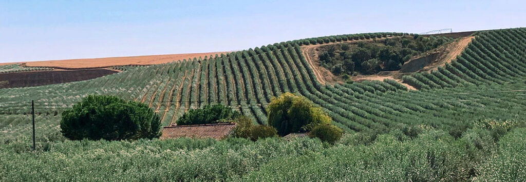 alentejo