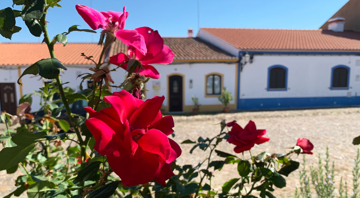 corona portugal