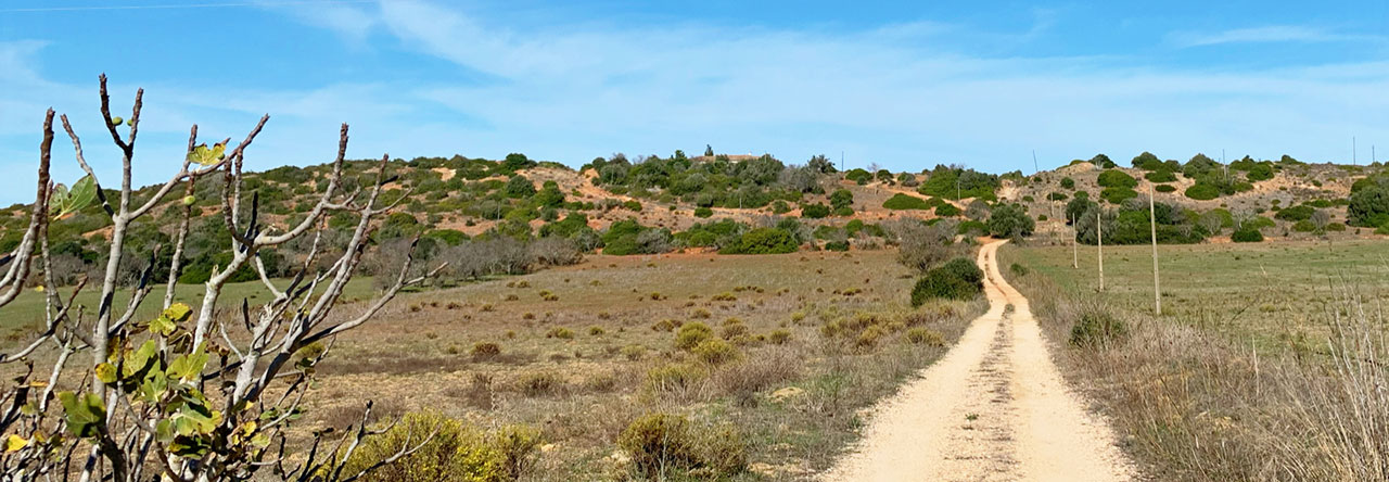 Algarves landsbygd