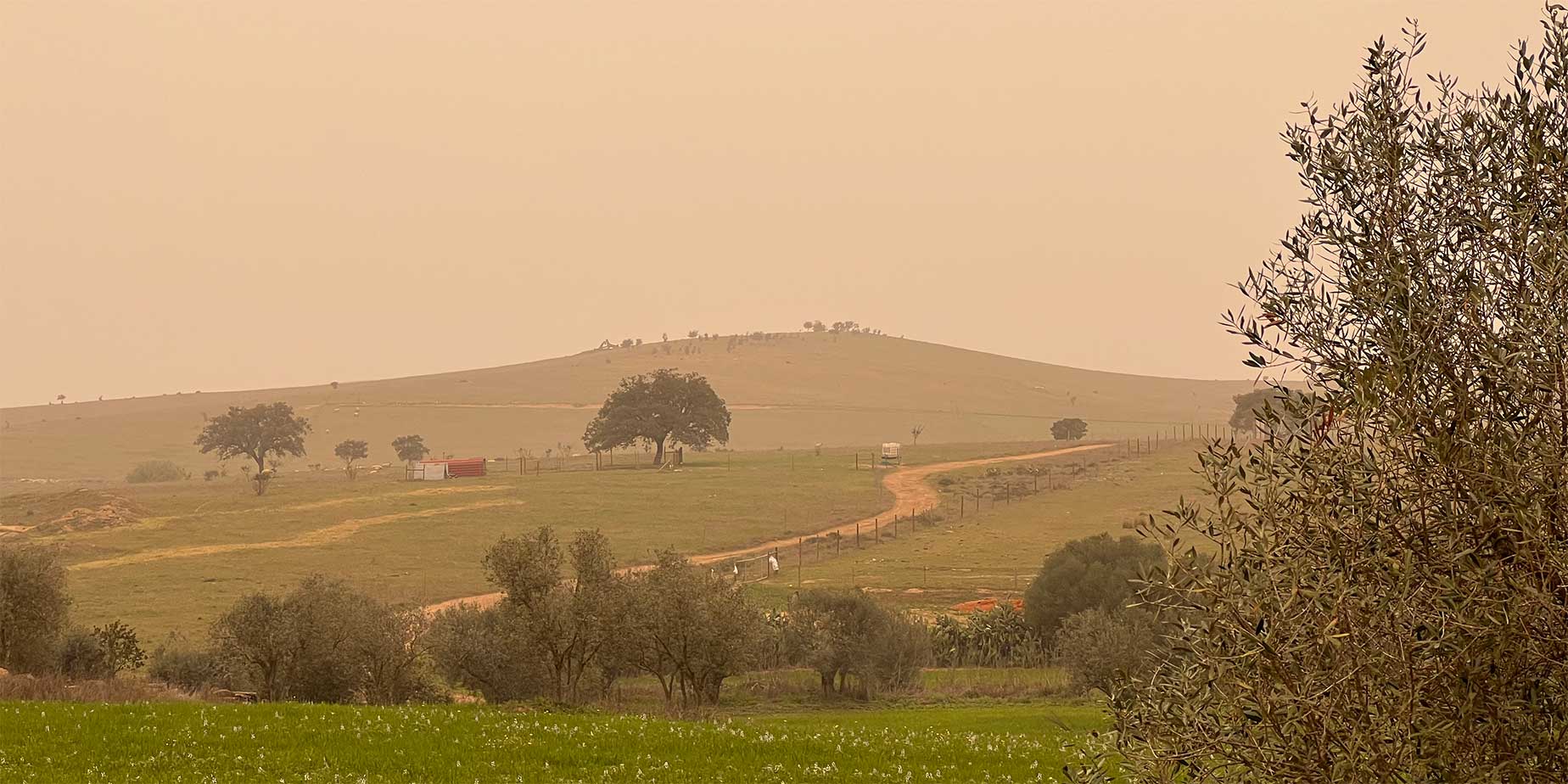 Calima i Portugal