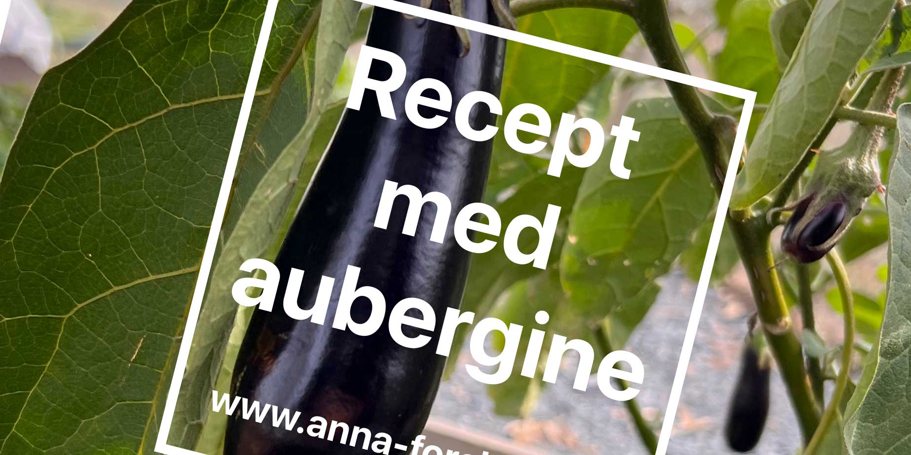 aubergine recept
