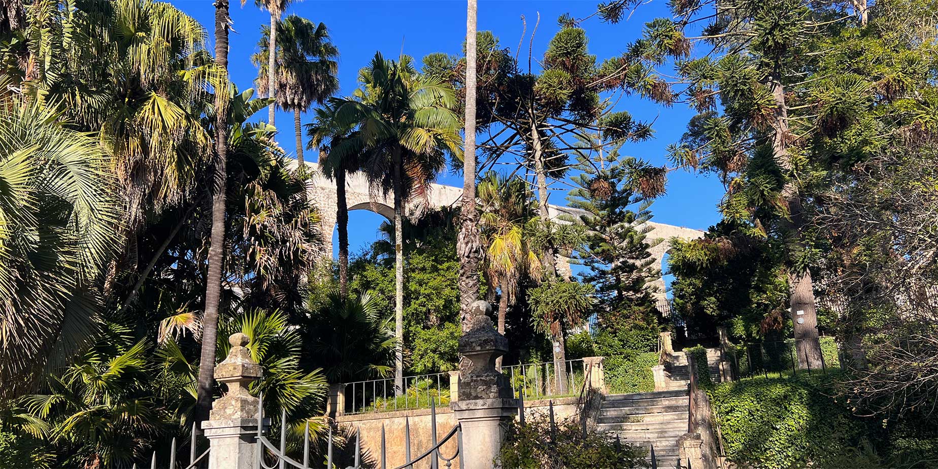 Coimbras botaniska trädgård & akvedukt