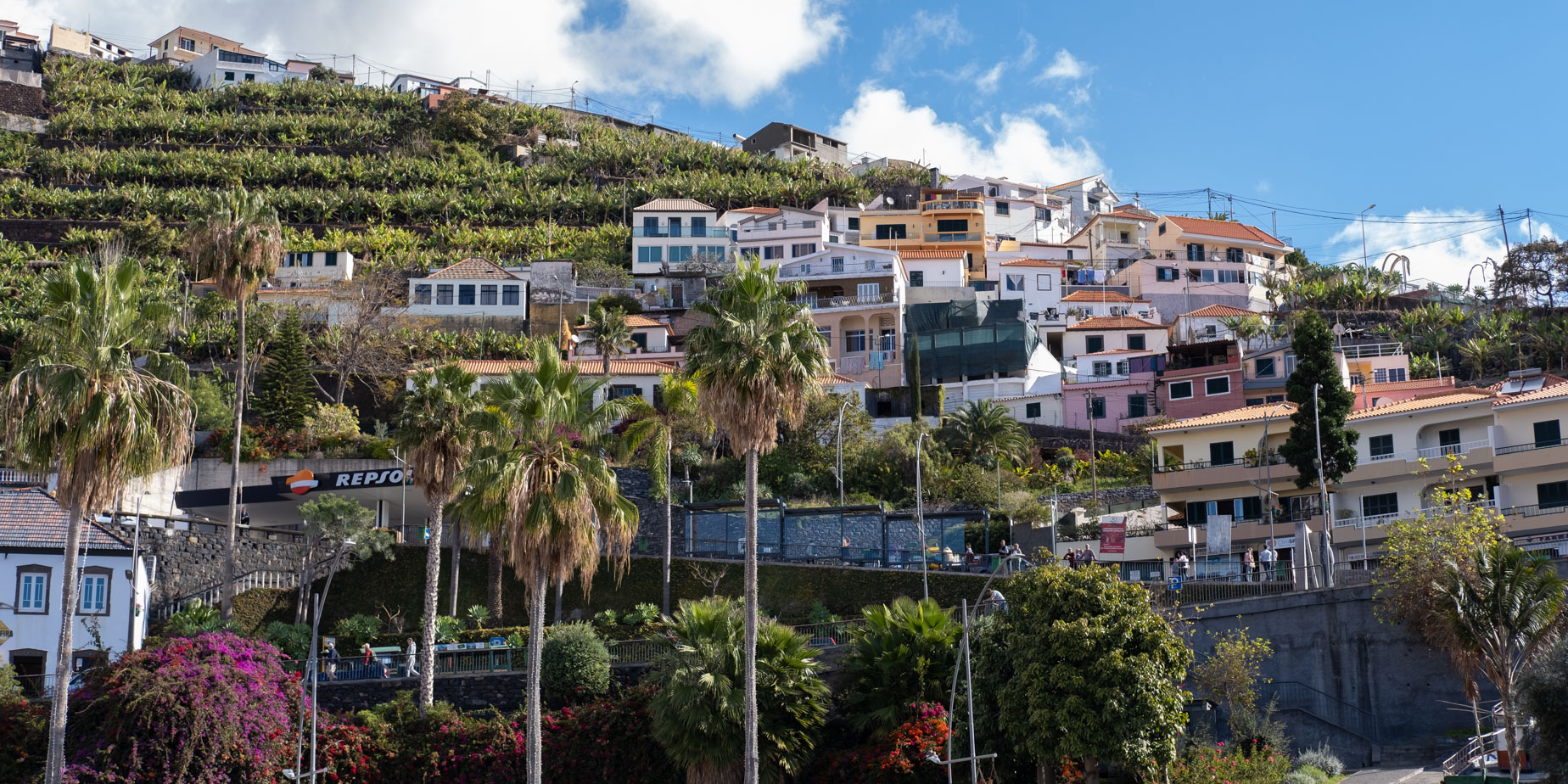 Mer från Câmara de Lobos