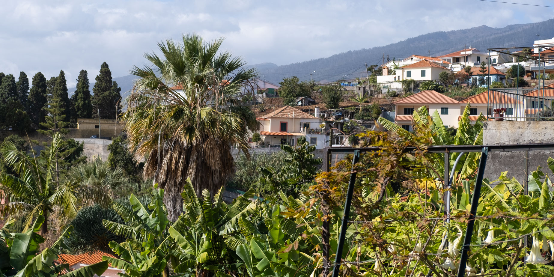 Airbnb boende på Madeira