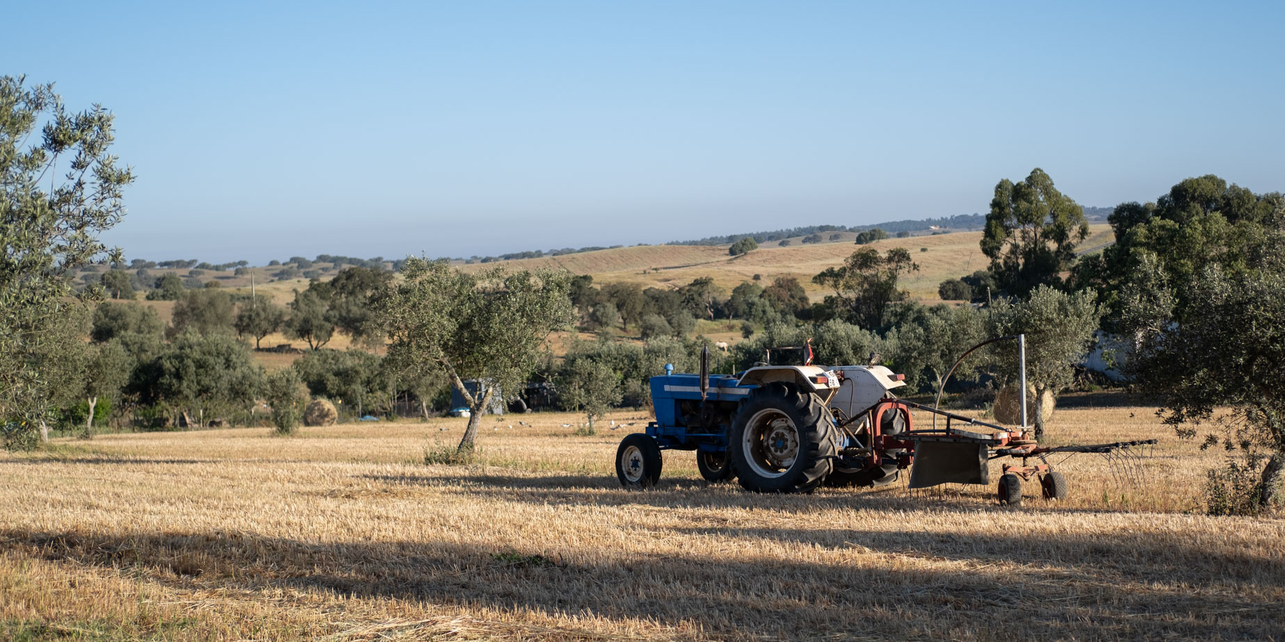 regn i alentejo