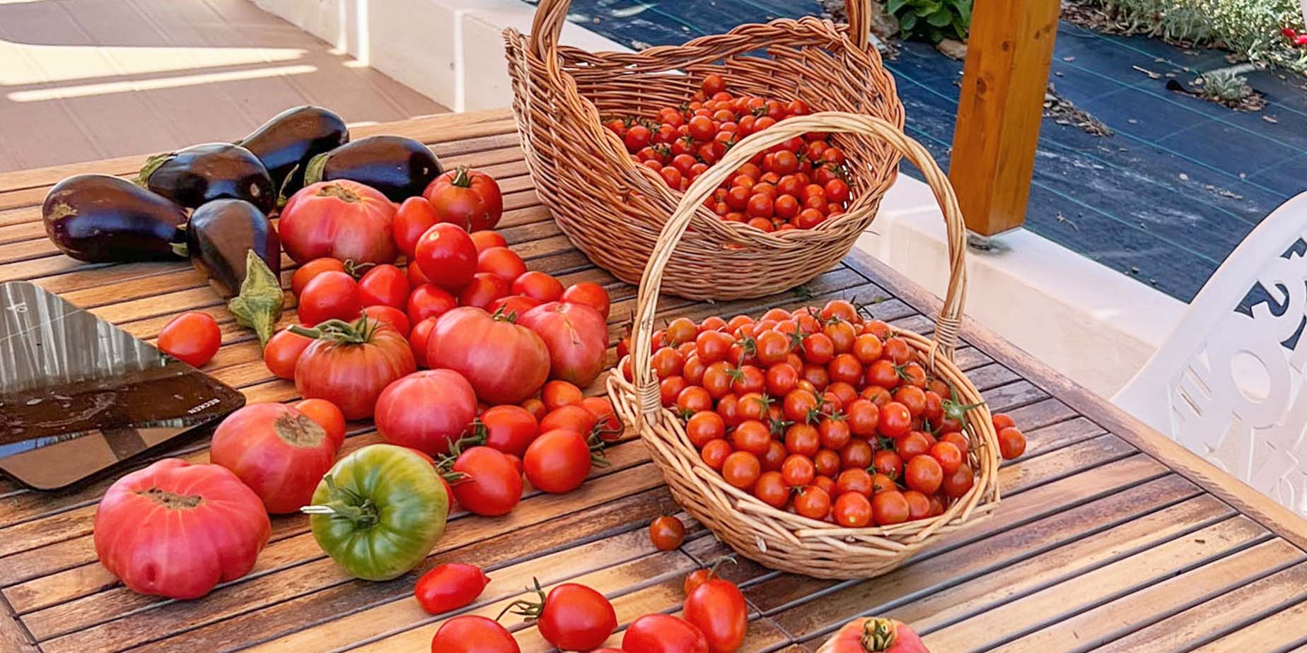 Sommarprat & tomater