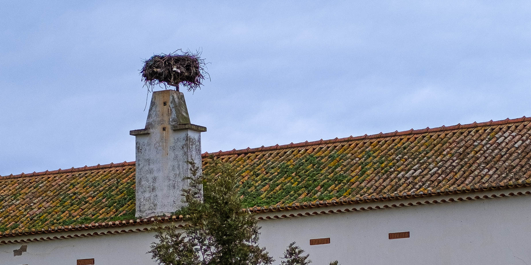 skorstenar i portugal