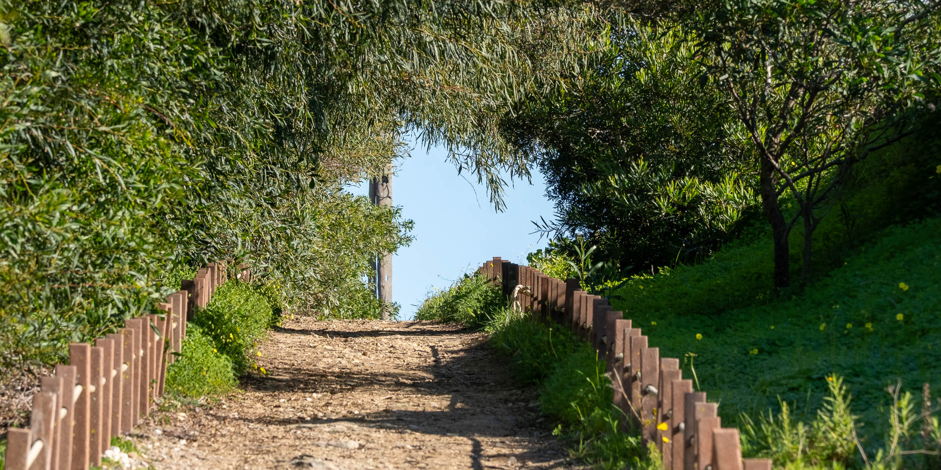 Promenad i São Torpes