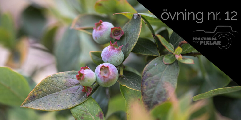 övning 12