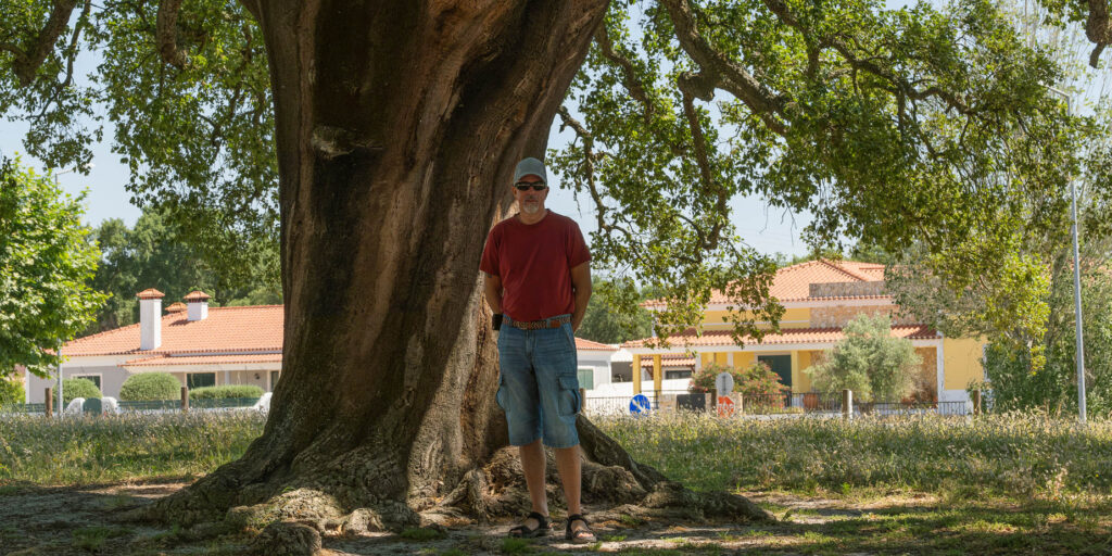 whistle tree korkek