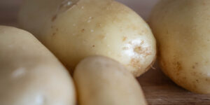 potatis