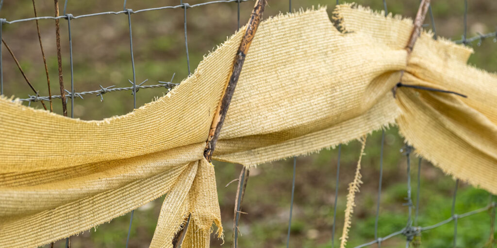 storm portugal kristin