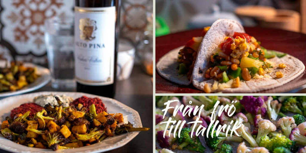 från frö till tallrik